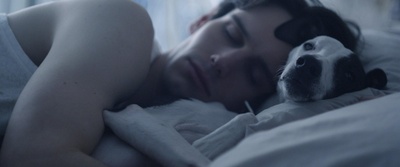 狗粮剧照的剧照