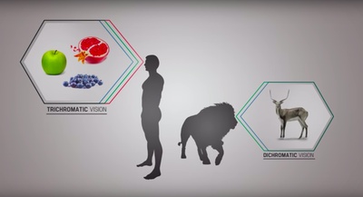 素食者联盟剧照的剧照