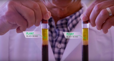 素食者联盟剧照的剧照