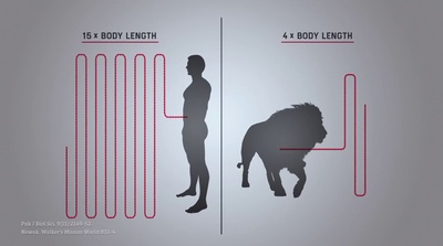 素食者联盟剧照的剧照