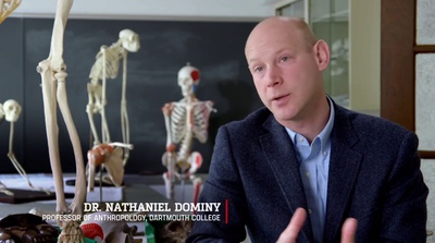 素食者联盟剧照的剧照