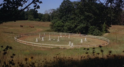 浮生录剧照的剧照