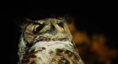 浮生录剧照的剧照