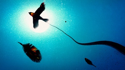 先知剧照的剧照