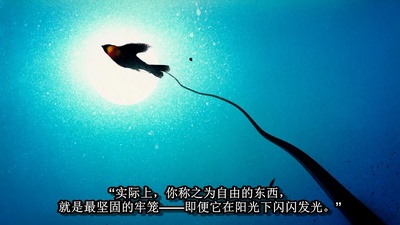 先知剧照的剧照