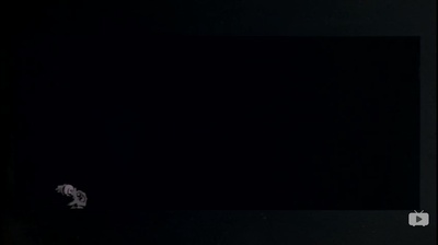 机器人嘉年华剧照的剧照