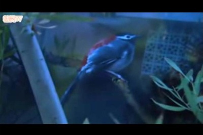 爱情我你他剧照的剧照