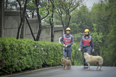 活路剧照的剧照