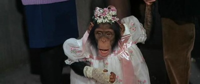 傻女十八变剧照的剧照