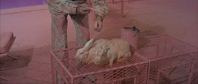 傻女十八变剧照的剧照