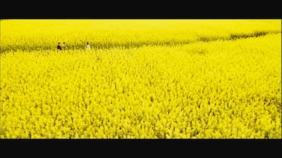 大片剧照的剧照