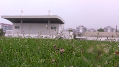 复仇缉凶剧照的剧照