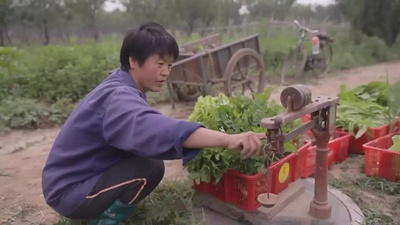 食为天剧照的剧照