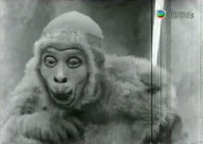 猪八戒招亲剧照的剧照