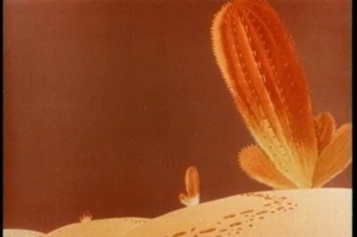 猪八戒吃西瓜剧照的剧照