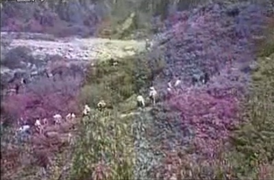 李四光剧照的剧照