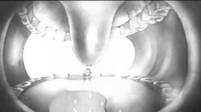 铁扇公主剧照的剧照