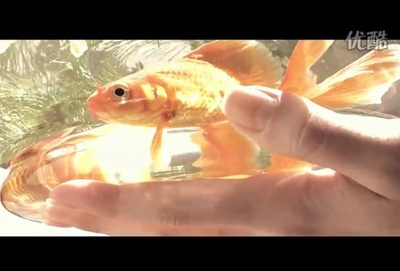 11度青春之《江湖再见》剧照的剧照