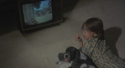 抢钱夫妻剧照的剧照