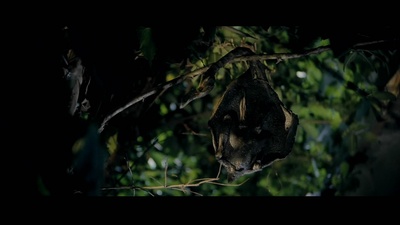 打擂台剧照的剧照