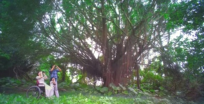 人鱼朵朵剧照的剧照