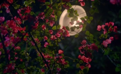 初恋未满剧照的剧照