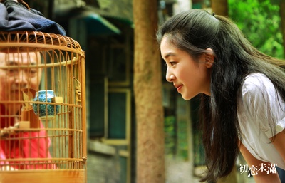 初恋未满剧照的剧照