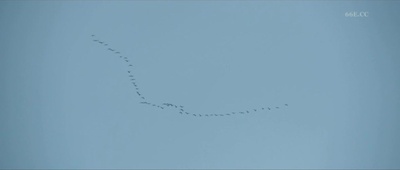 白色严冬剧照的剧照