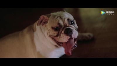 新英雄本色剧照的剧照