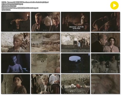 梦往澳洲海剧照的剧照