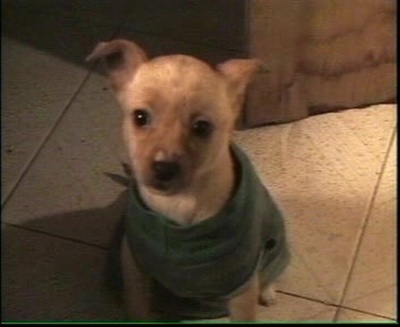 第100日剧照的剧照