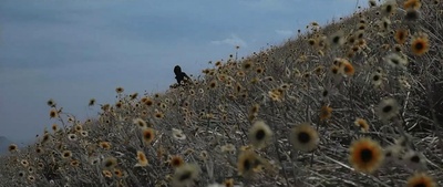 鬼域剧照的剧照