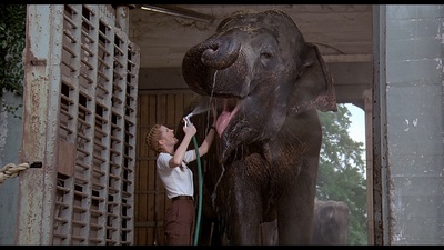 豹人剧照的剧照