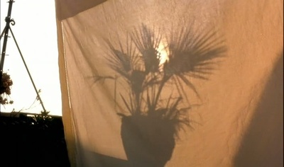 爱的困惑剧照的剧照