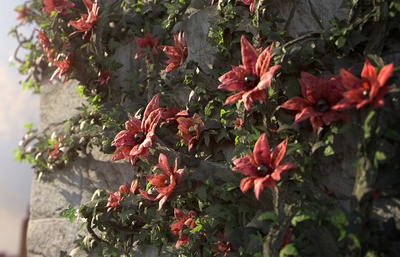 围城剧照的剧照