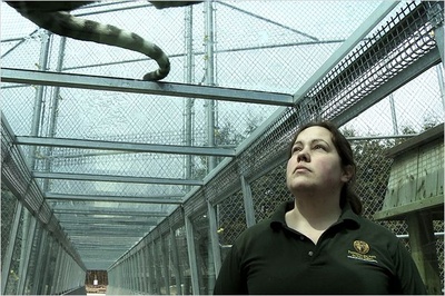 静观百兽剧照的剧照