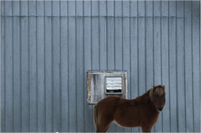 静观百兽剧照的剧照