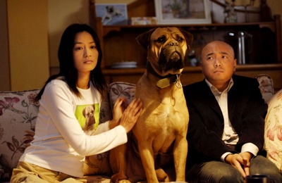 爱情呼叫转移剧照的剧照