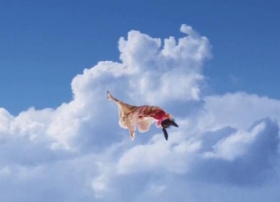 无极剧照的剧照