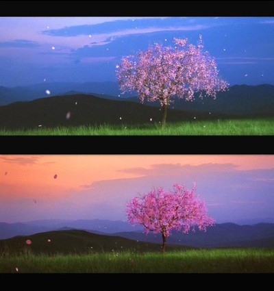 无极剧照的剧照