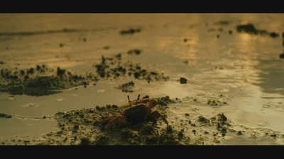 狂舞派剧照的剧照