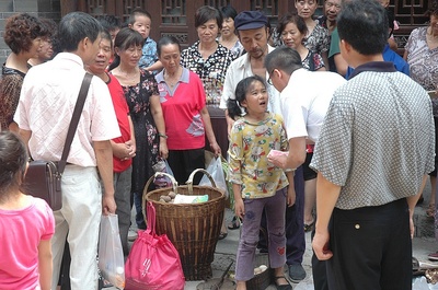 太阳花儿开剧照的剧照