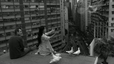 猛龙剧照的剧照