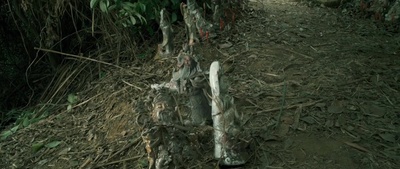 情谜剧照的剧照