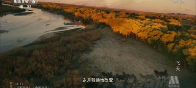 飞天剧照的剧照