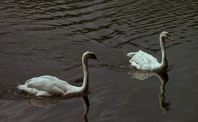 战地医生剧照的剧照