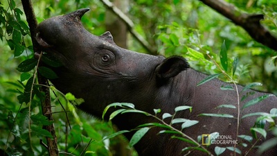 洪水泛滥之前剧照的剧照