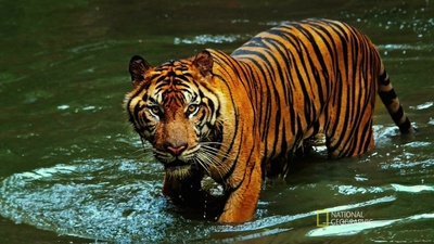 洪水泛滥之前剧照的剧照