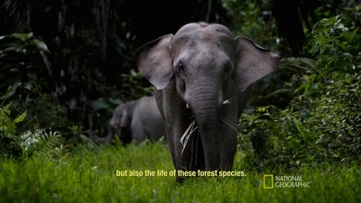 洪水泛滥之前剧照的剧照