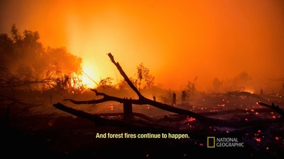 洪水泛滥之前剧照的剧照